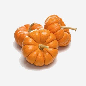 Courge Jack be little Courge Jack be little