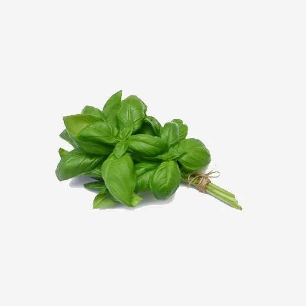Organic Basil (assorted)