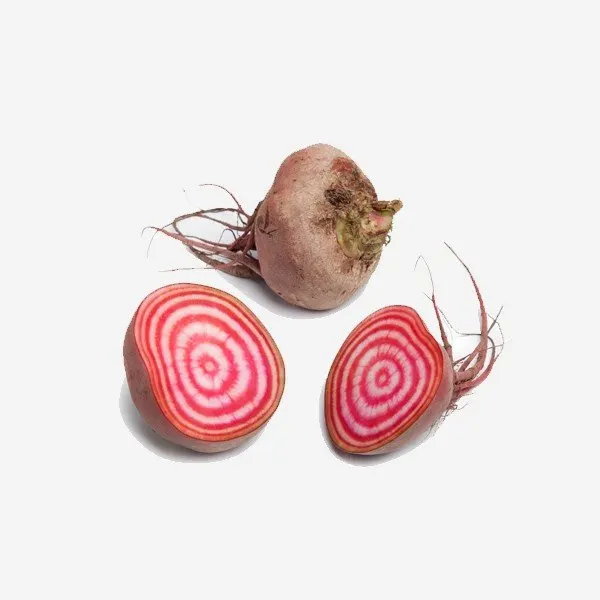 Organic Chioggia beetroot