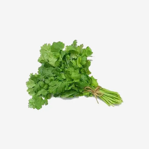 Organic Coriander