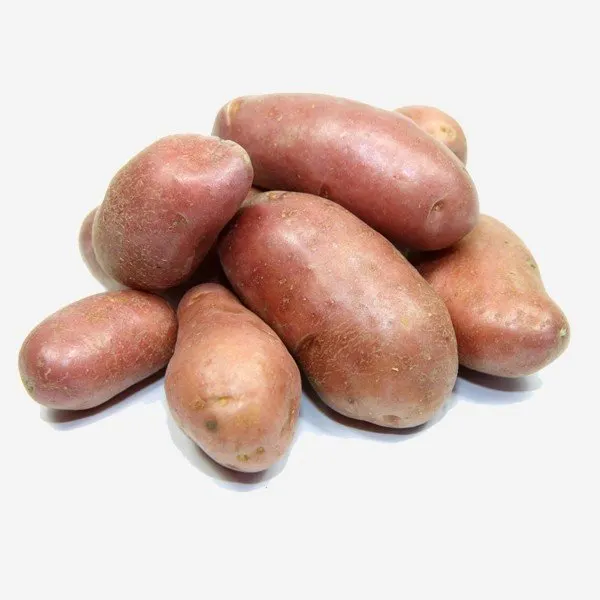 Organic Red baby potatoes