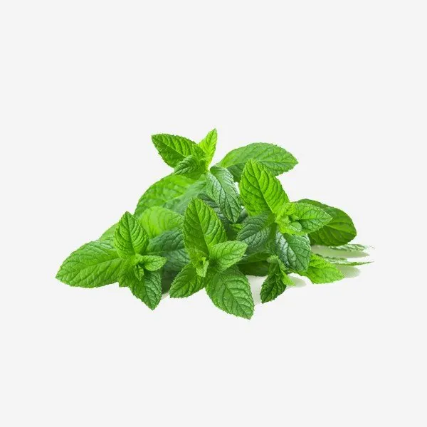 Herbs