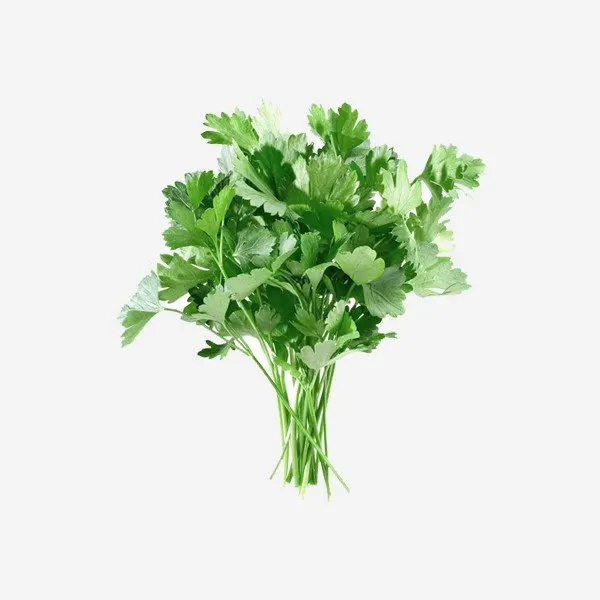 Organic Parsley