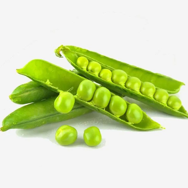 Organic Garden peas