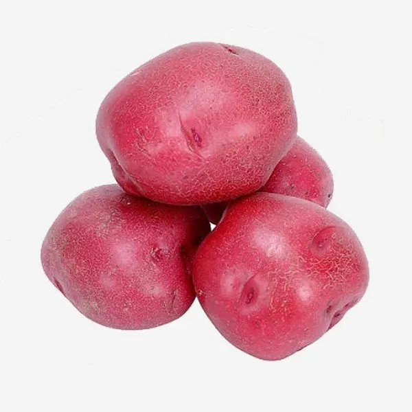 Organic Red potatoes