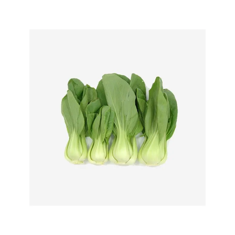 Organic Choux Chinois Pak-Choi