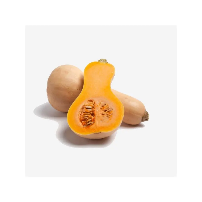 Organic Courge butternut