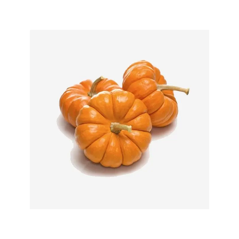 Organic Courge Jack be little