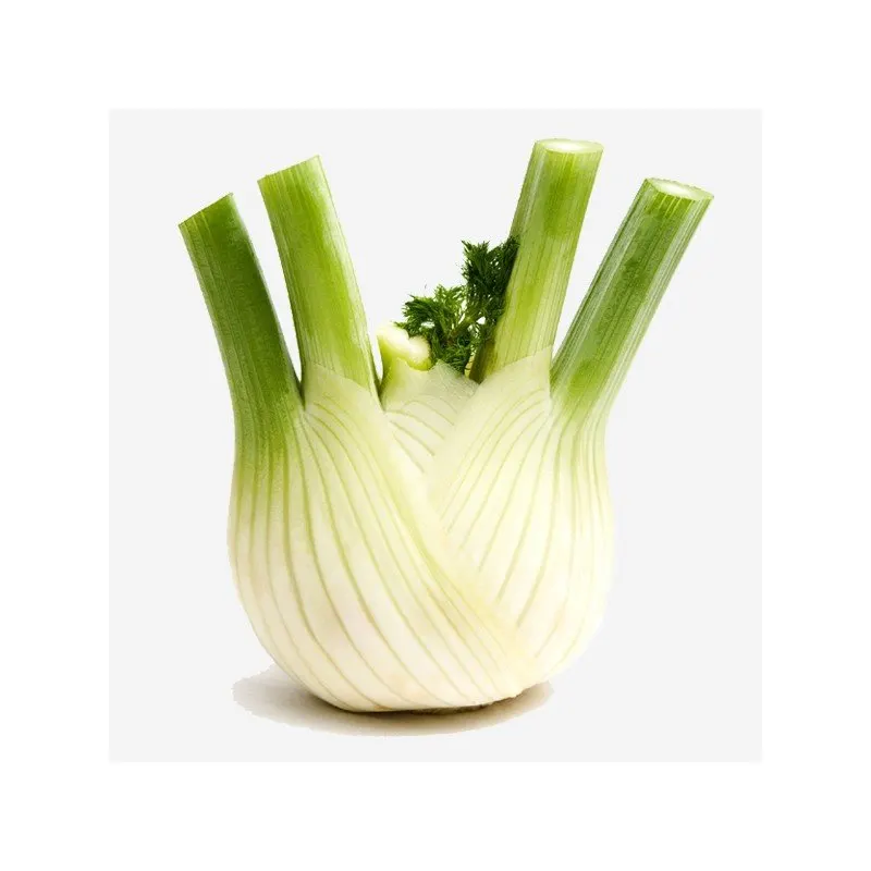 Organic Fenouil